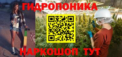 spice Бердск