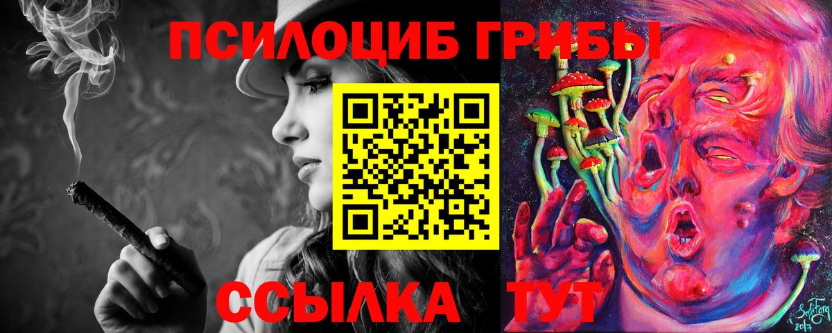 Галлюциногенные грибы Psilocybe Воткинск