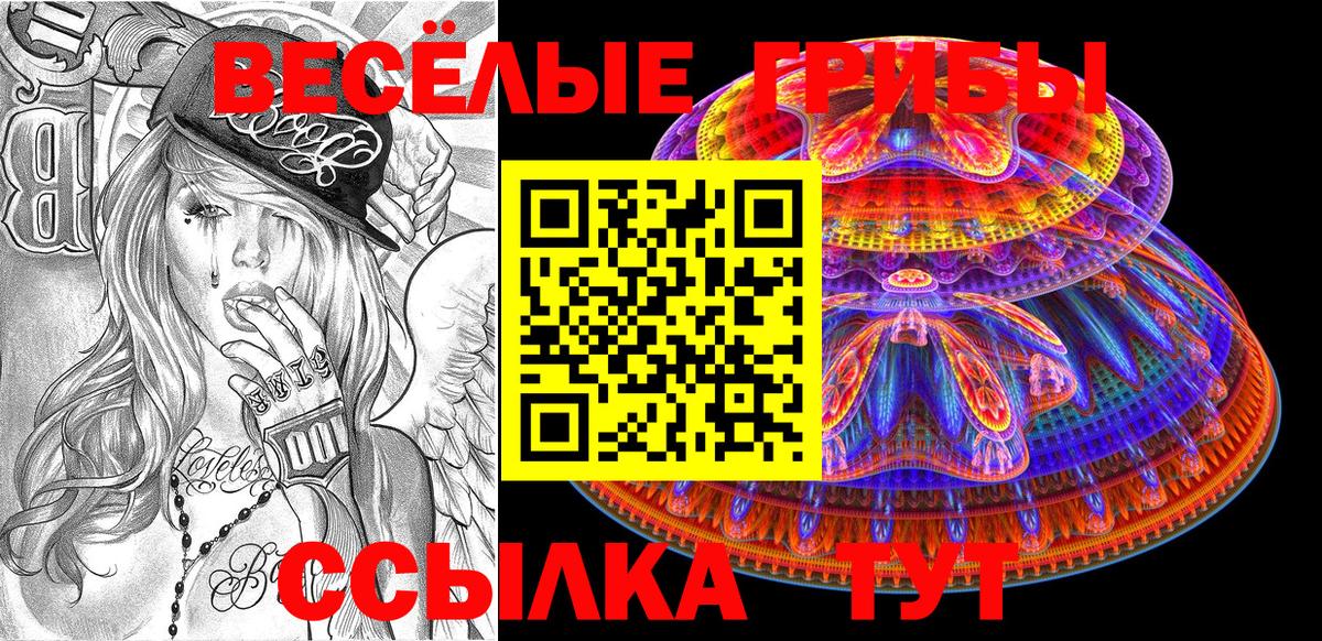 Галлюциногенные грибы MAGIC MUSHROOMS  Вход с VPN  Воткинск  Псилоцибиновые грибы GOLDEN TEACHER 